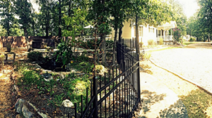 SOZO Recovery Centers